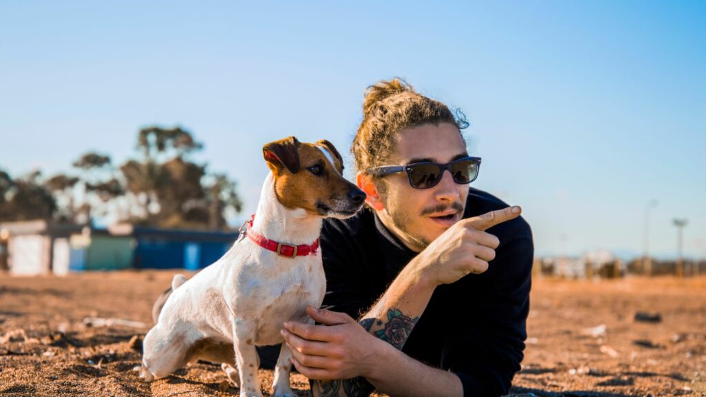 Príbehy majiteľov Jack Russell Teriérov často zdôrazňujú nekonečnú energiu, vynaliezavosť a lojalitu týchto psov. 