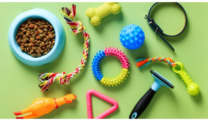 Pred príchodom novej mačky je dôležité pripraviť a zabezpečiť byt, aby bol pre ňu bezpečným a pohodlným prostredím.