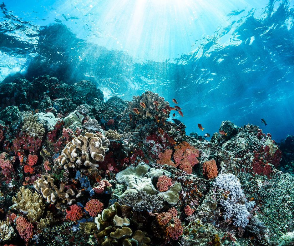 Aquamin – 4 zdravotné výhody