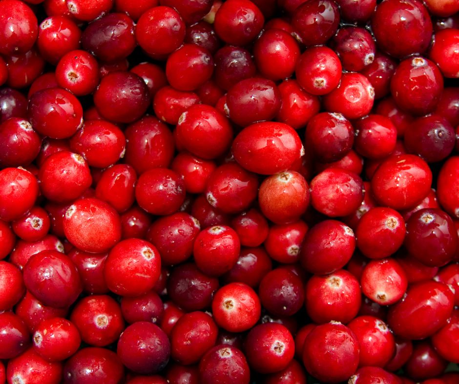 Brusnice &ndash; 4 super zdravotn&eacute; &uacute;&ccaron;inky