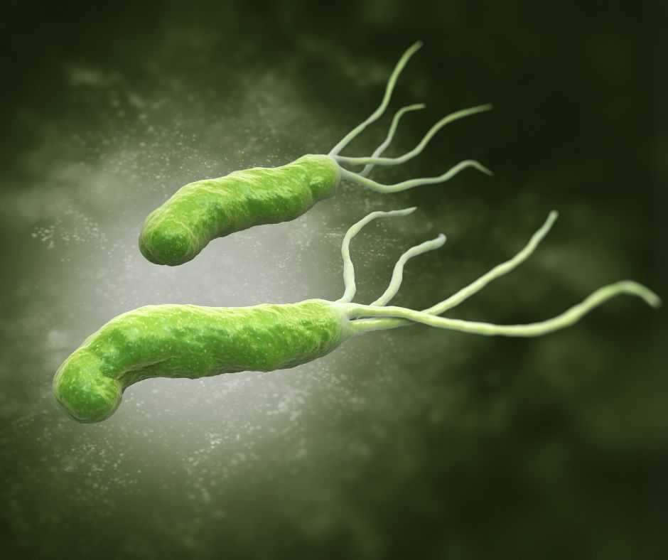 Helikobakter pylori: Pochopenie, Diagnostika a Lie&ccaron;ba