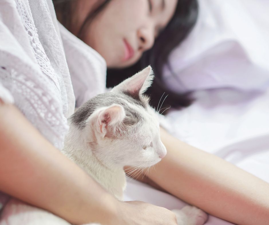 Ak trpite alergiou na macky a zijete s nimi v domacnosti mozete prijat niekolko opatreni na vytvorenie spravneho a zdraveho prostredia