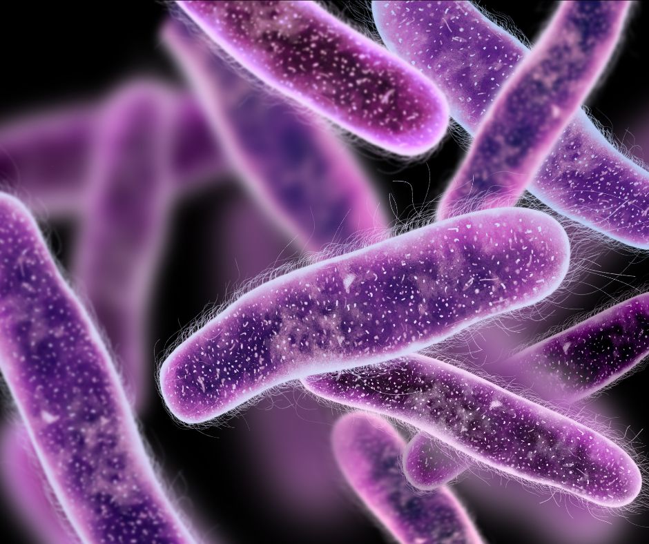 Priciny zapalu mocovych ciest ZMC mozu zahrnat rozne mikroorganizmy vratane bakterii virusov alebo parazitov