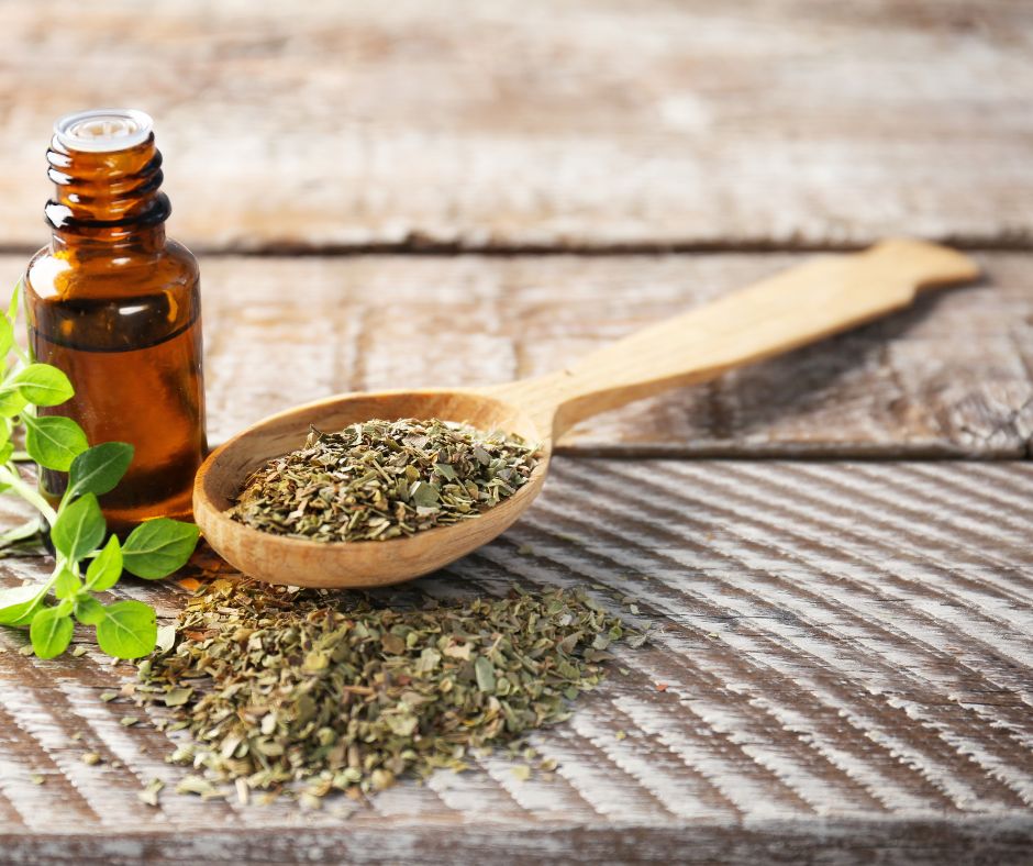 Vyroba oreganoveho oleja prebieha procesom parovej destilacie kde su listy rastliny vystavene vysokym teplotam