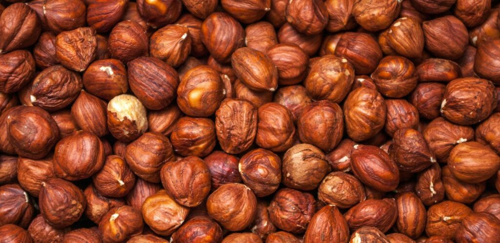 Lieskov&yacute; orech &ndash; 6 d&ocirc;le&zcaron;it&yacute;ch inform&aacute;ci&iacute;