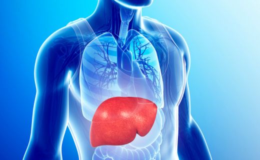 Kde sa nachádza pečeň v ľudskom tele