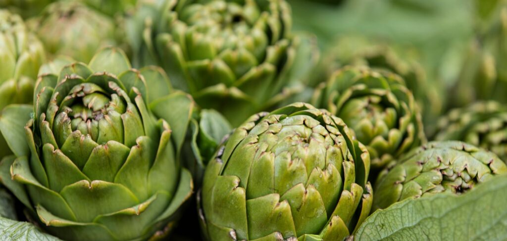 Pred pripravou articoky je dolezite vediet ako ju spravne ocistit a pripravit na varenie