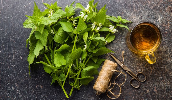 Pri konzumácii žihľavového čaju by niektoré skupiny ľudí mali byť obzvlášť opatrné, keďže tento čaj môže ovplyvniť ich zdravotný stav alebo interagovať s liekmi, ktoré užívajú.