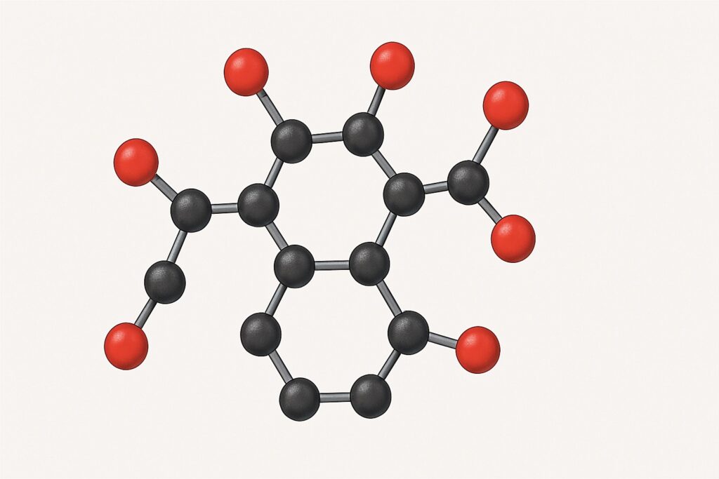 Vitamín K2 – Prečo je taký dôležitý a kde ho nájsť?